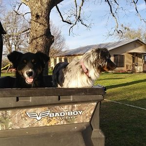 Meet your Posher, Kat